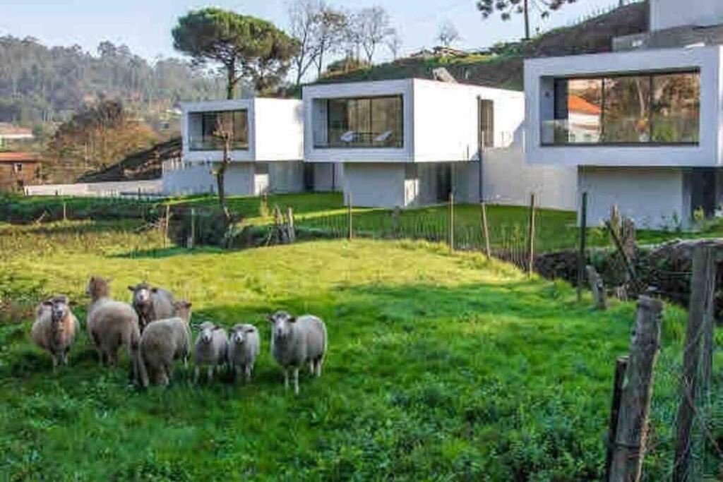 Viana Do Castelo - Amonde Village - Casa L - Disfrute Da Natureza Kültér fotó