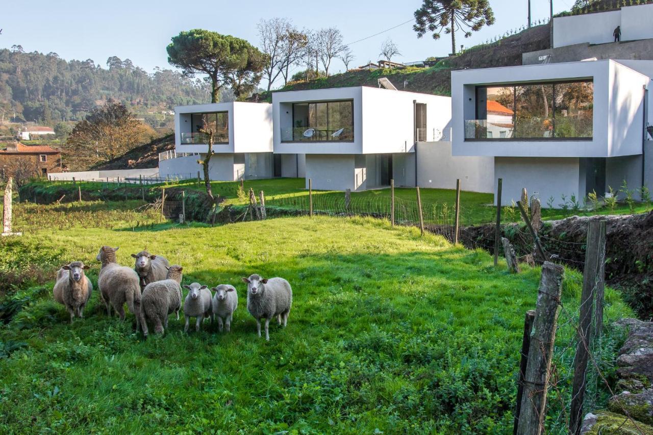 Viana Do Castelo - Amonde Village - Casa L - Disfrute Da Natureza Kültér fotó